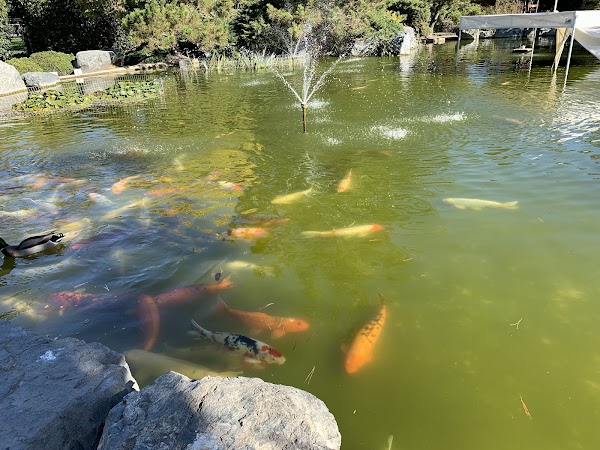 Japanese Friendship Garden 3