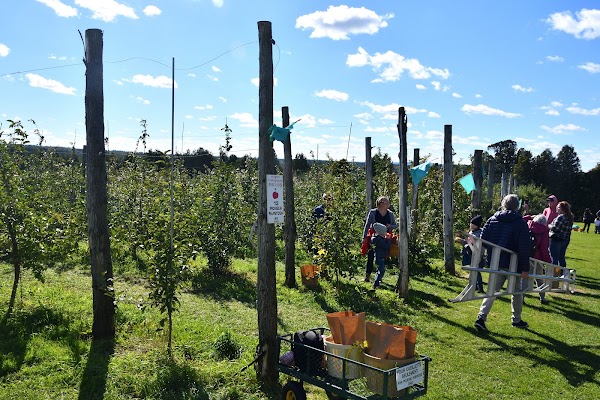 Philion Orchards 4