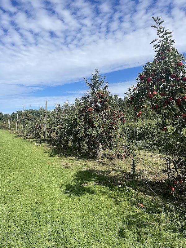 Philion Orchards 2