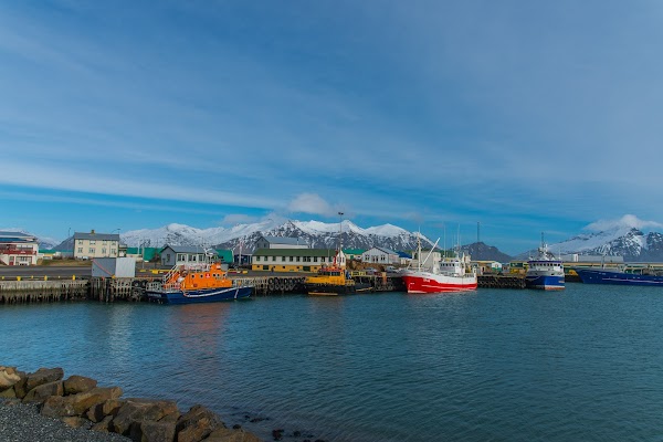 Höfn