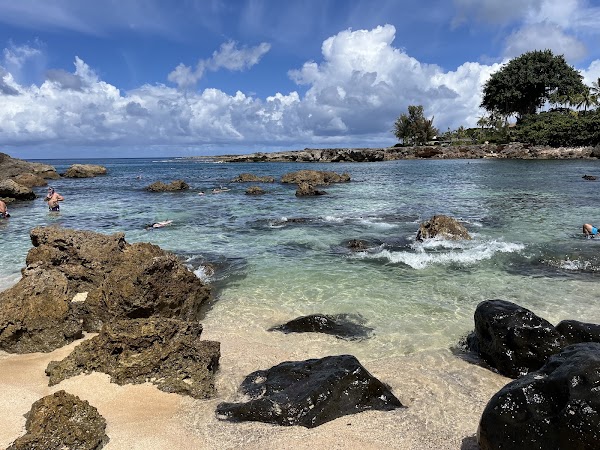 Sharks Cove