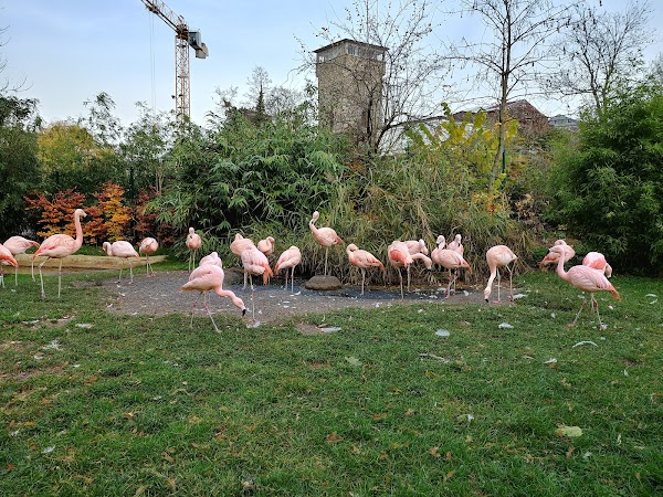 Zoo Frankfurt 5