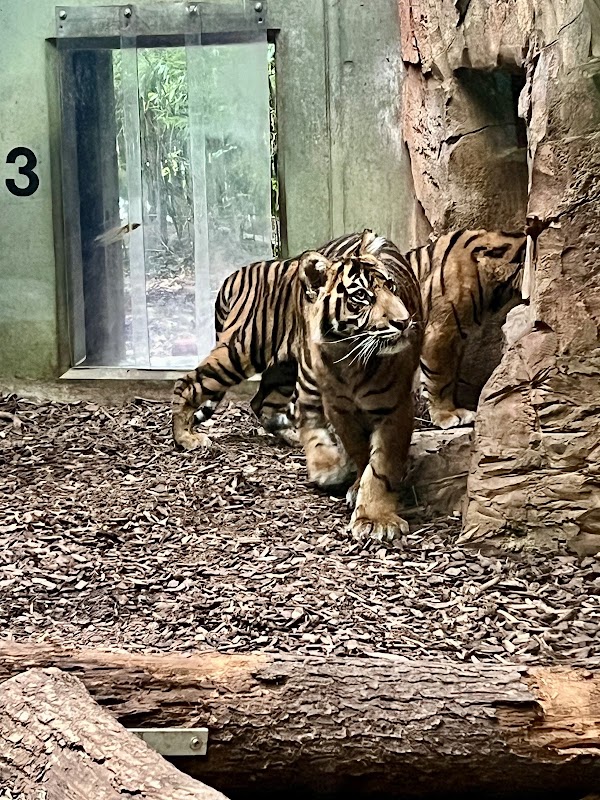 Zoo Frankfurt 2