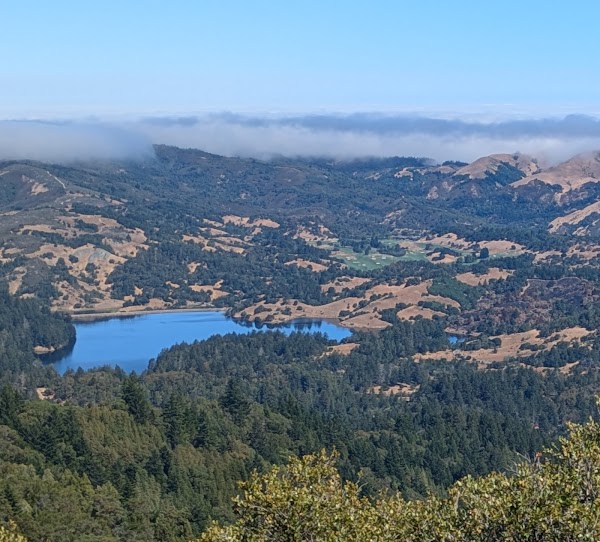 SF Bay Area 17