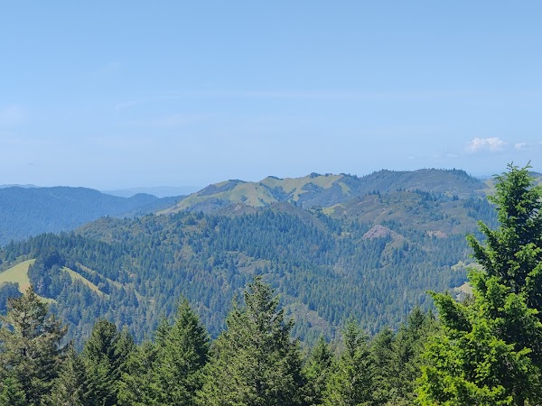 Mount Tamalpais Watershed 5