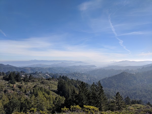 Mount Tamalpais Watershed 4