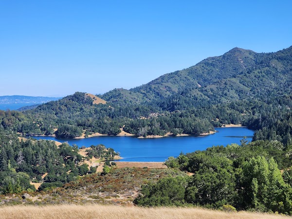 Mount Tamalpais Watershed 3