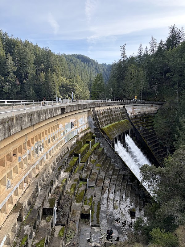 Mount Tamalpais Watershed 2