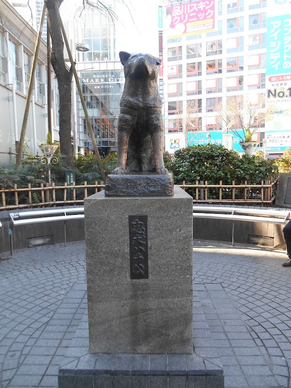 Shibuya Station 3