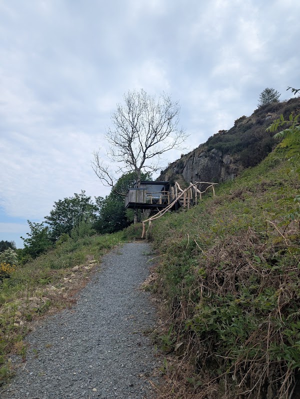 Balance Tree House