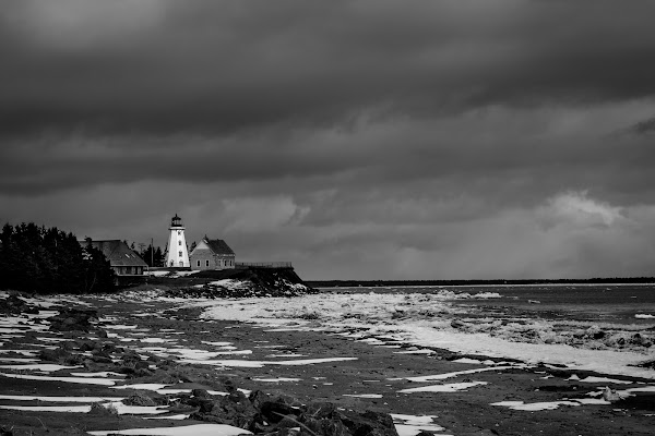Panmure Island 5