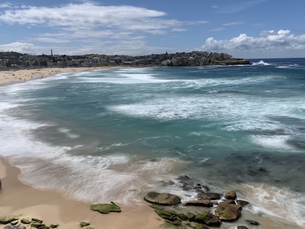 Bondi 1