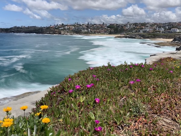 Bondi 5