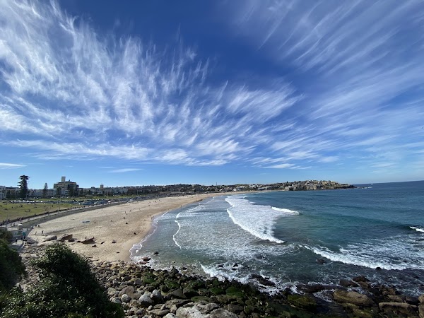 Bondi 3