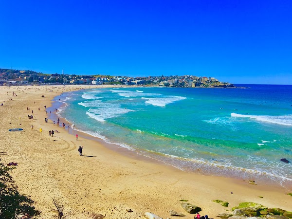 Bondi 2