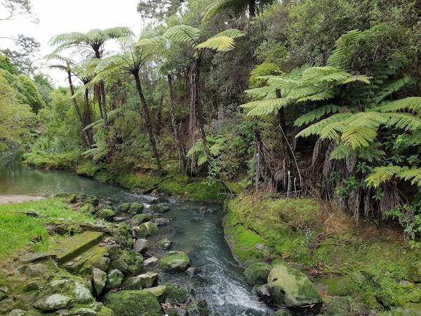 Oakley Creek Waterfall 5