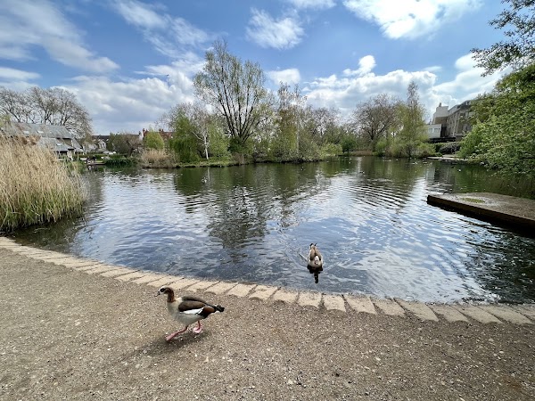 Barnes Pond 1