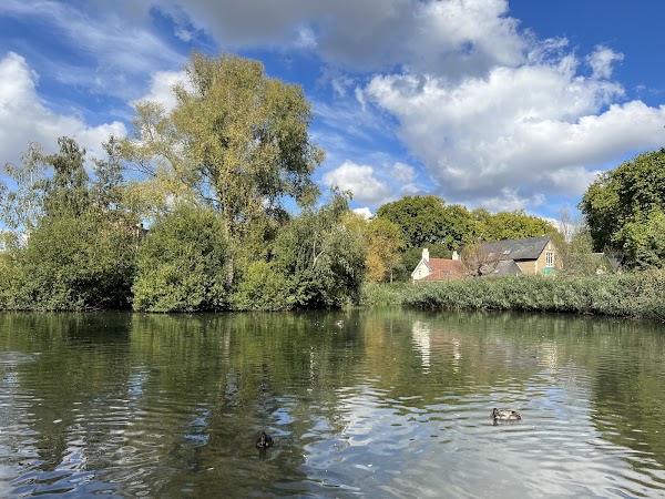Barnes Pond 4