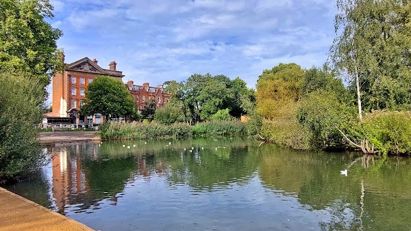Barnes Pond 3