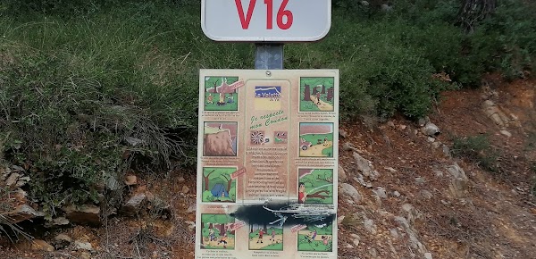 Baudouvin