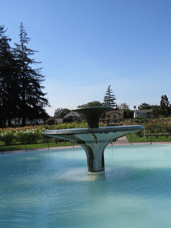 Rose Garden 5