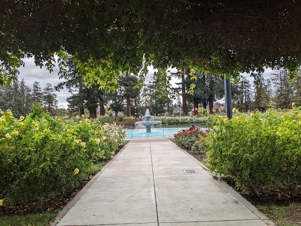 Rose Garden 2