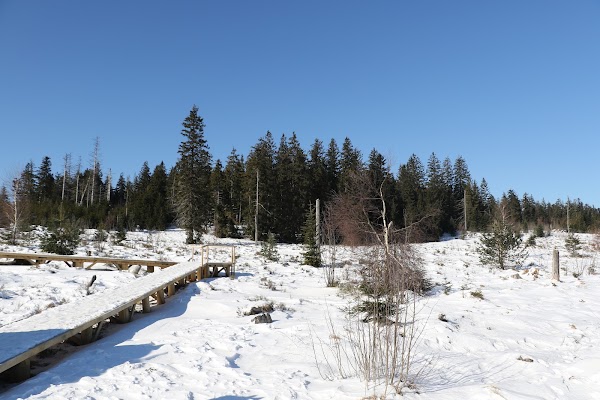 Lotharpfad 5
