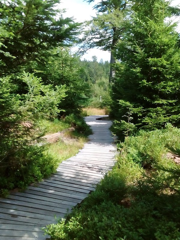 Lotharpfad 2