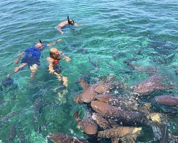 Hol Chan Marine Reserve 2