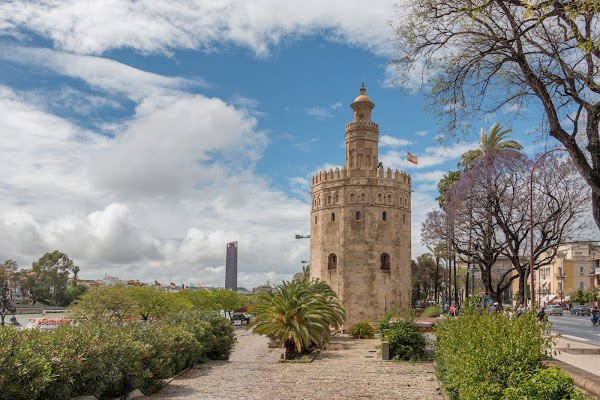 🇪🇸Spain 8
