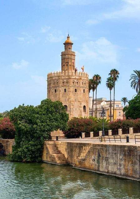 The Golden Tower 5