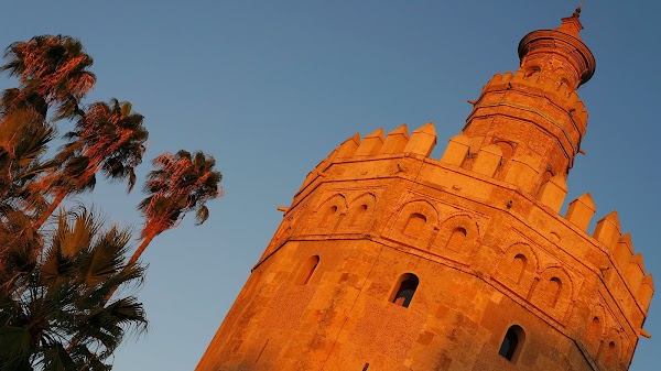 The Golden Tower 4