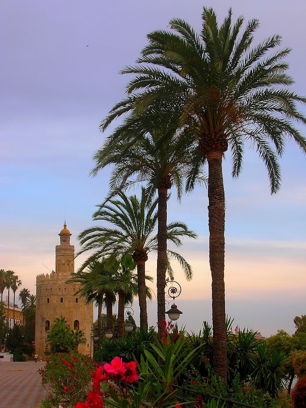 The Golden Tower 2