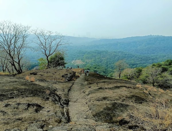 Sanjay Gandhi National Park 1