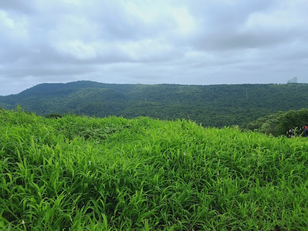 Sanjay Gandhi National Park 3