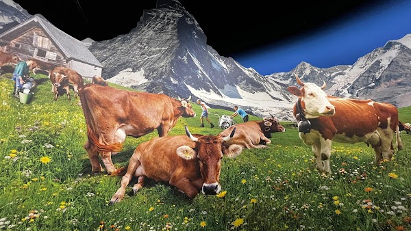 Swiss Chocolate Adventure