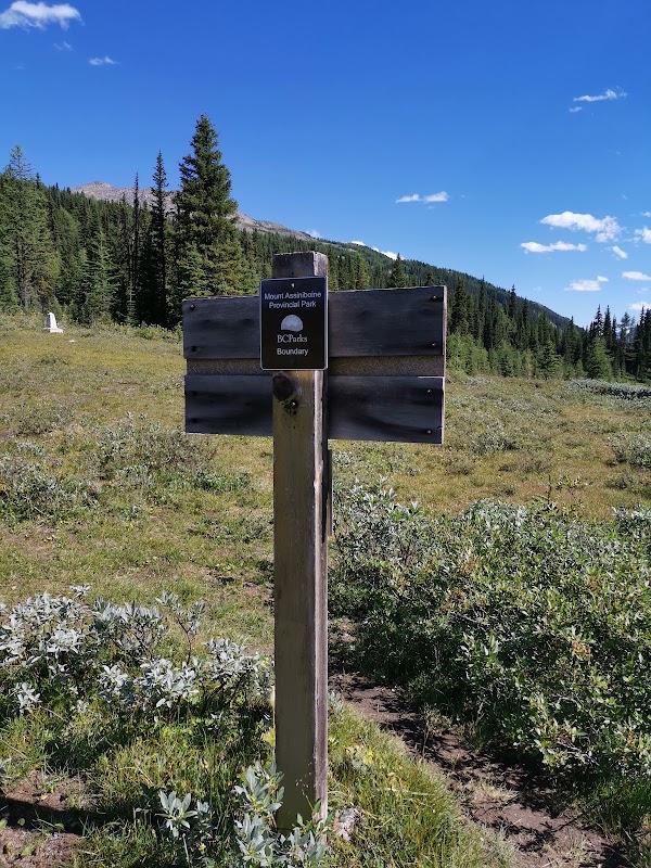 Simpson Pass