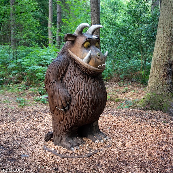 Alice Holt Forest