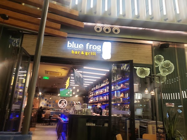 Blue Frog 2