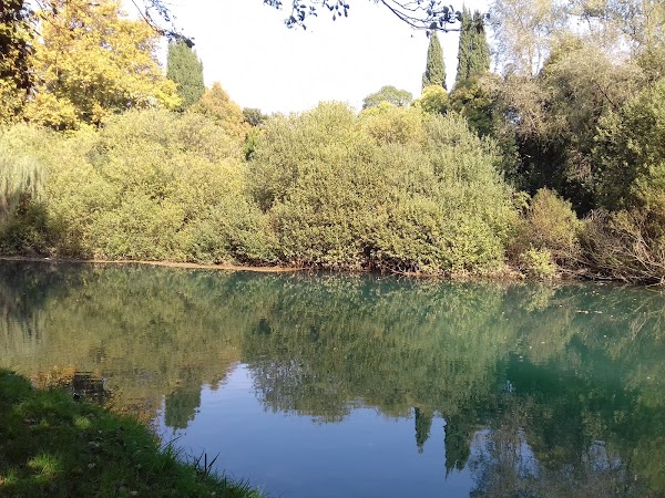 Livenza