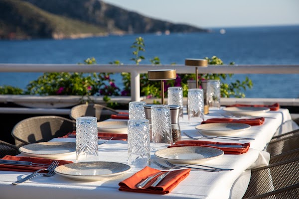 The Fish Terrace 1