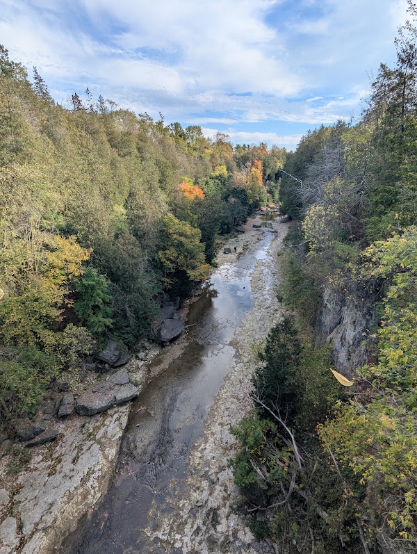 David Street Bridge