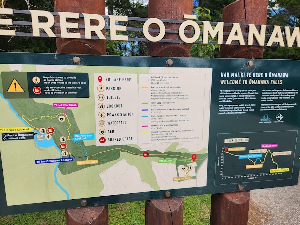 Omanawa Falls 3