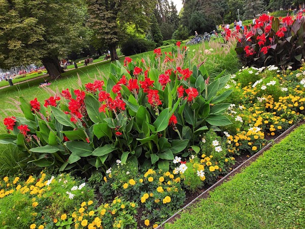 Margaret Island 5