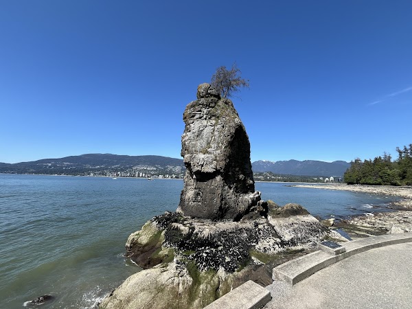Stanley Park 3