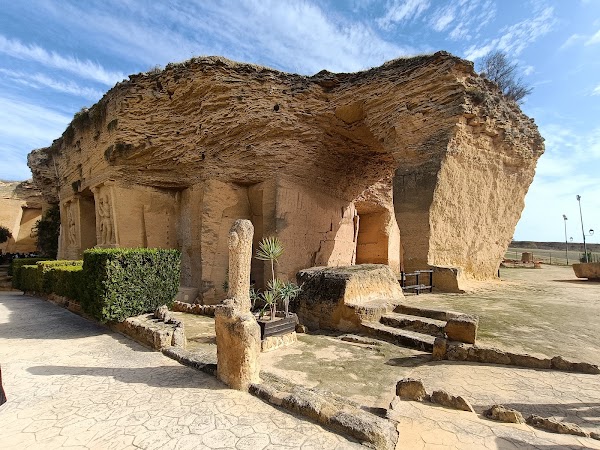 El Coto Las Canteras 5
