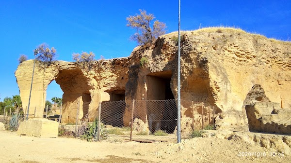 El Coto Las Canteras 4