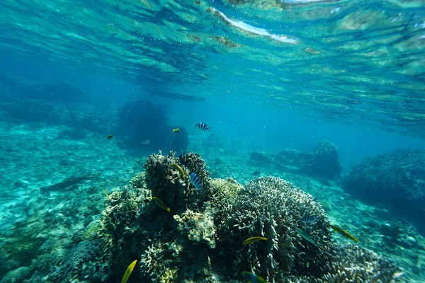Yoron Island 4