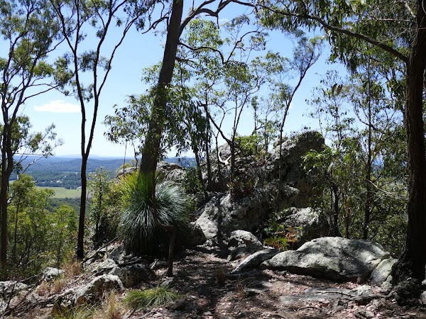 Mount Ninderry walking track 5