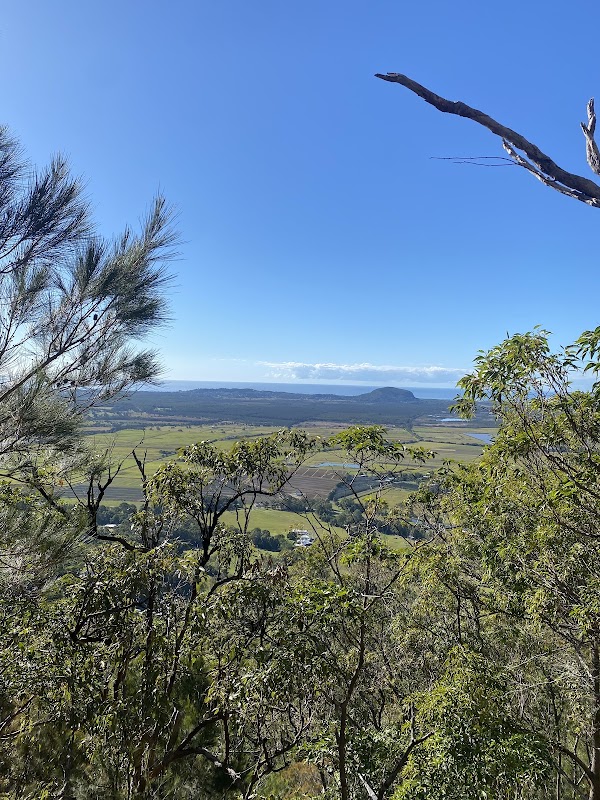 Mount Ninderry walking track 4